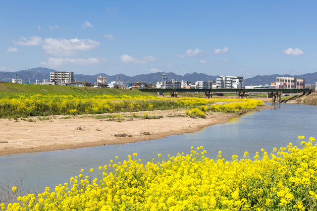 福岡県飯塚市